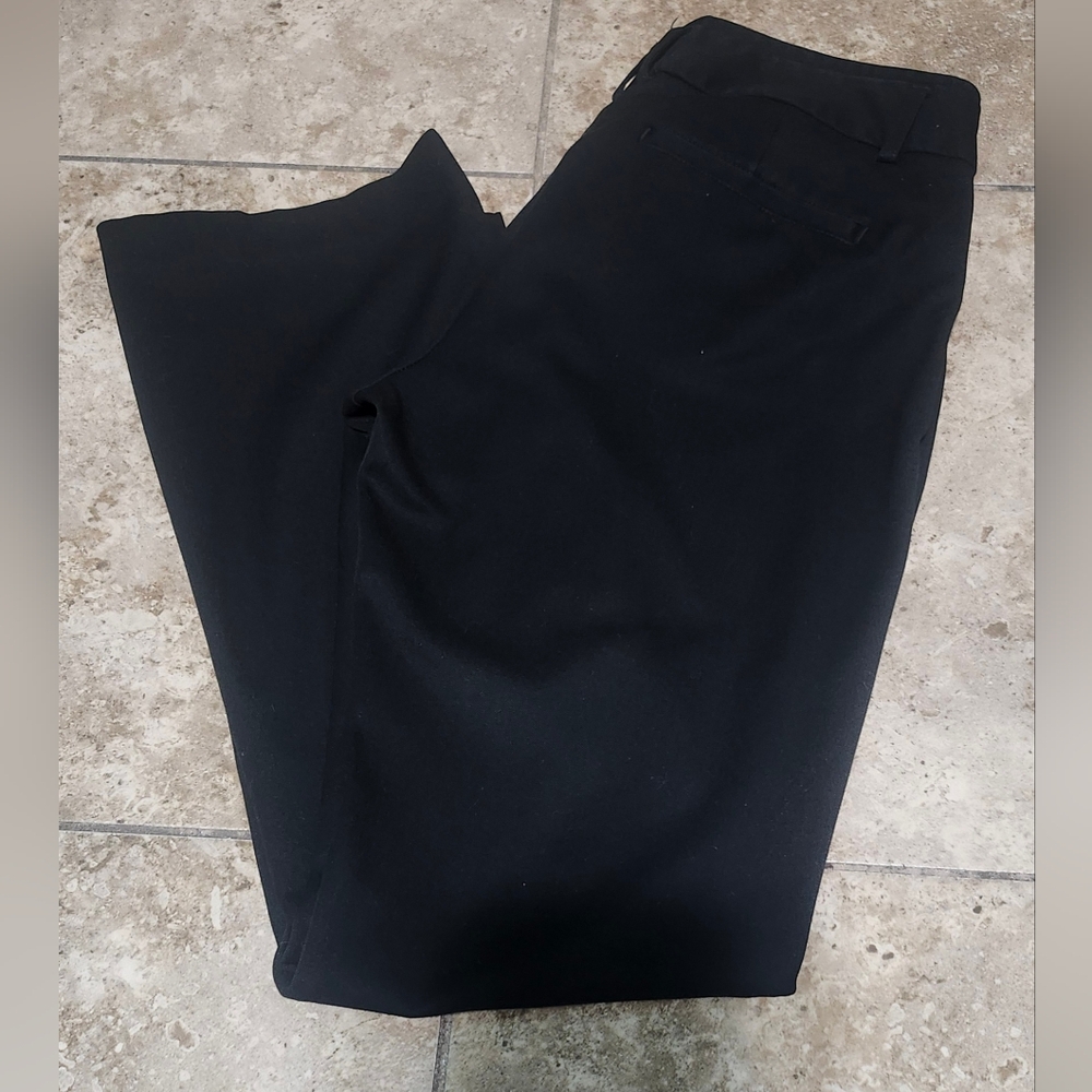 Express Columnist Pants